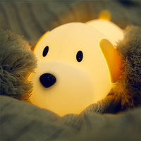 DreamPaw Nattlampa